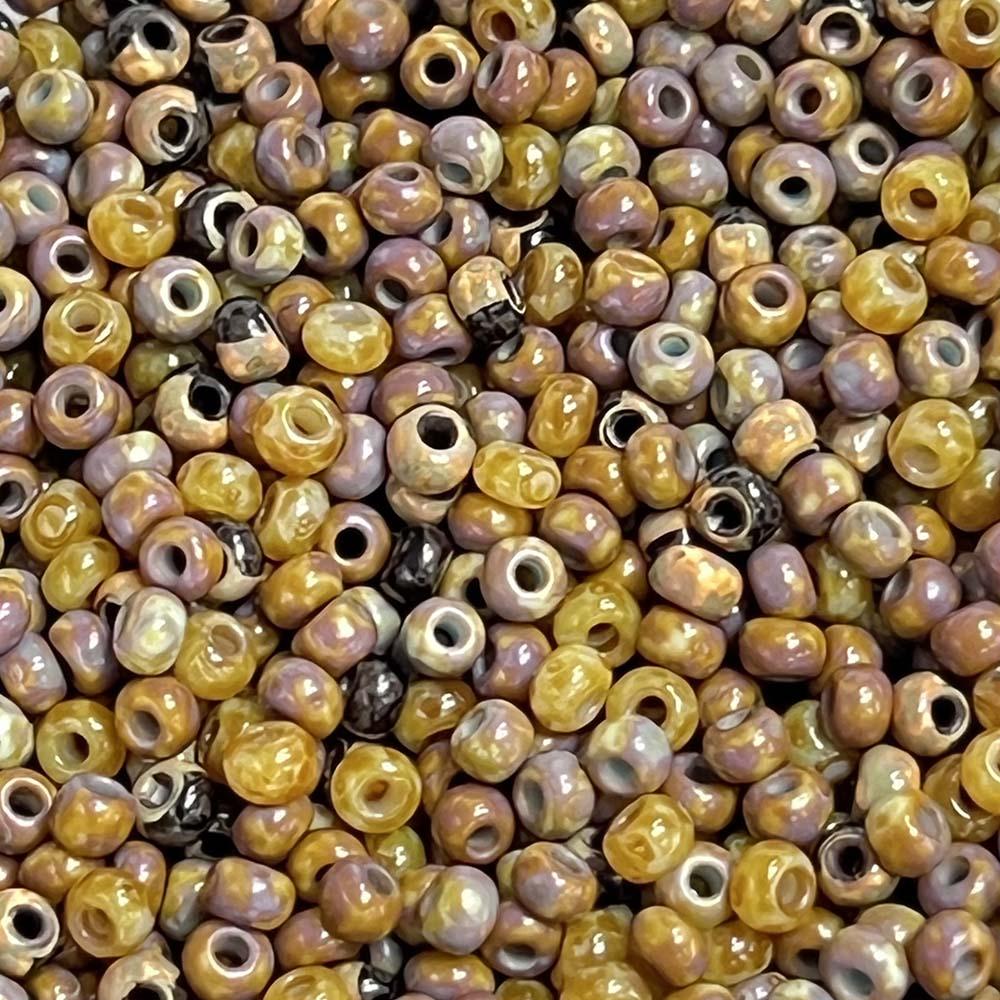 Mixed Picasso 8/0 Seed Bead