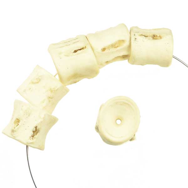 12-16MM Wide Fish Vertebrae Bead