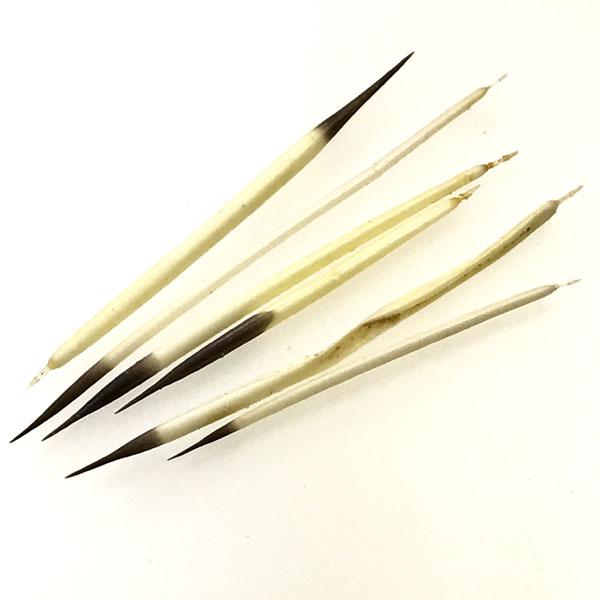 2-3 Inch Porcupine Quills
