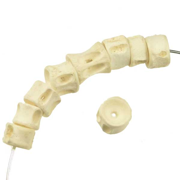 5-6MM Wide Fish Vertebrae Bead