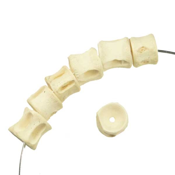 7-10MM Wide Fish Vertebrae Bead