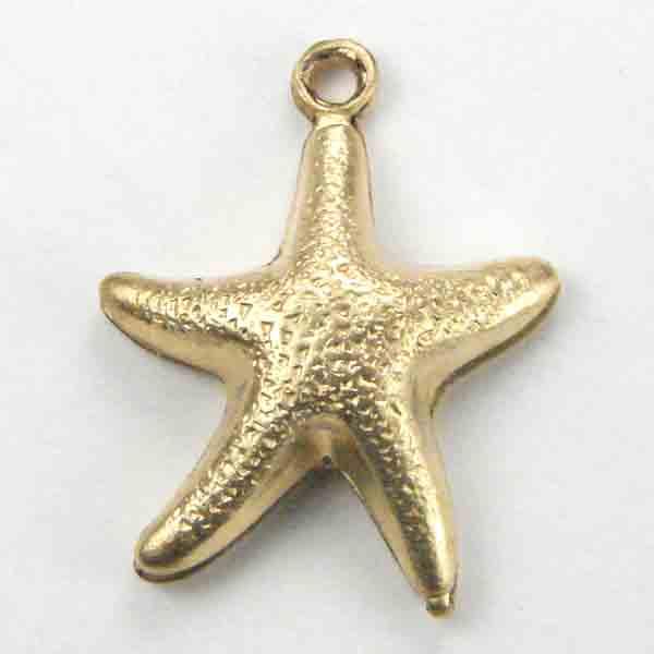 Brass 24x14MM Starfish