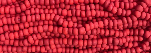 Matte Red 6/0 Seed Bead