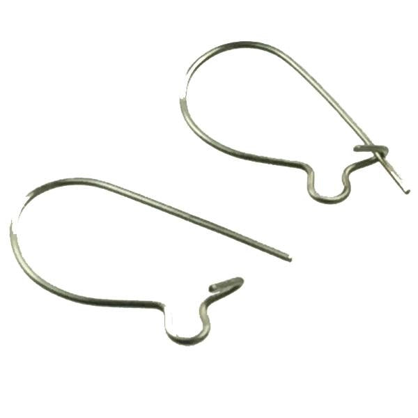 Surgical Steel Ear Wire Kidney