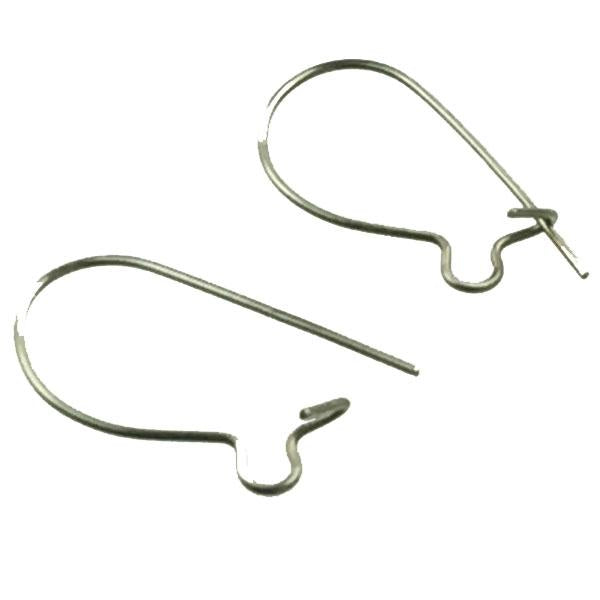 Surgical Steel Earwire Kidney