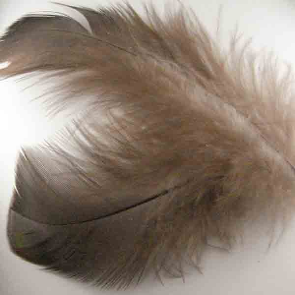 Wild Turkey Bronze Feathers