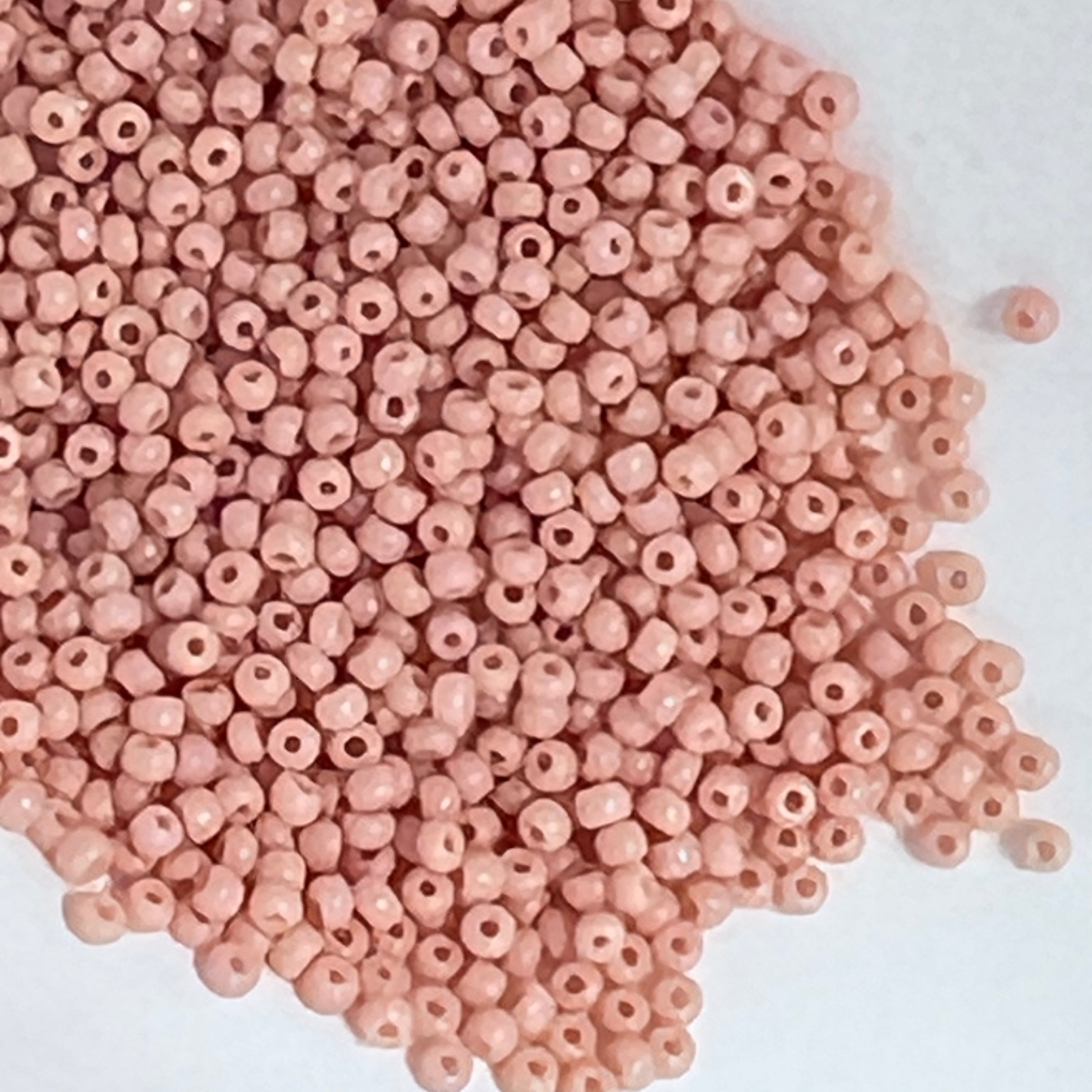 Dusty Rose 14/0 Seed Bead