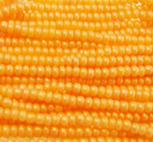 Orange Pearl 11/0 Seed Bead