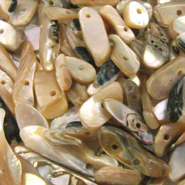 8-12MM Abalone Chips