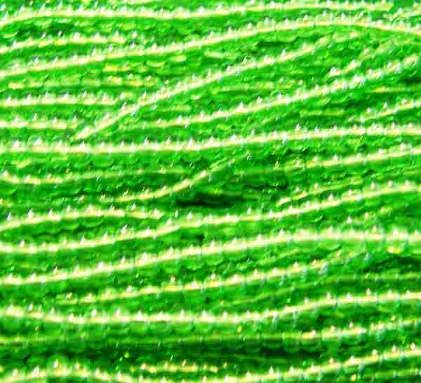 Peridot 11/0 Seed Bead