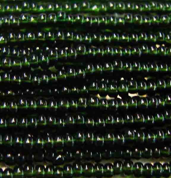 Seed Bead 11/0 Dark Olive
